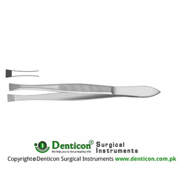 Douglas Cilia Forcep Wide Tip Stainless Steel, 9 cm - 3 1/2"
